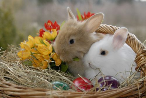 Ostern bei Das Fotostudio Berlin